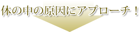 体の中の原因にアプローチ