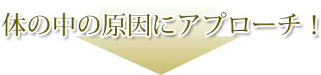 体の中の原因にアプローチ！